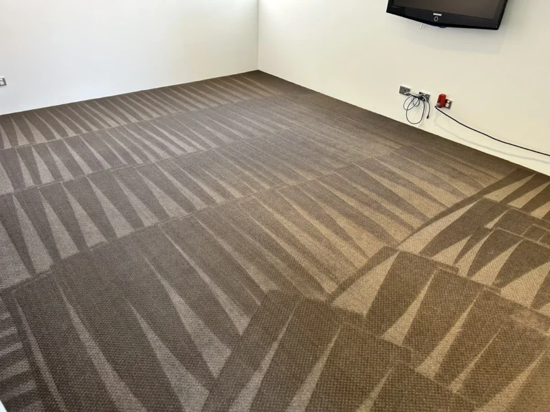 carpet cleaning lounge room